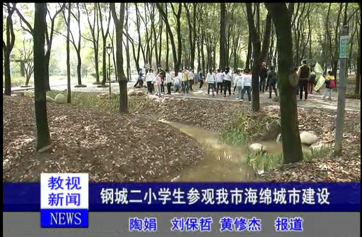 新疆青少年科技教育和科普活动服务平台